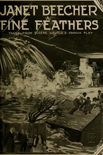 Fine Feathers poster