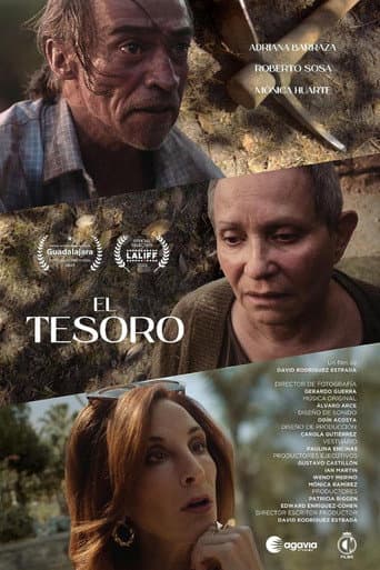 The Treasure poster