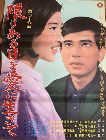 The Suitors poster