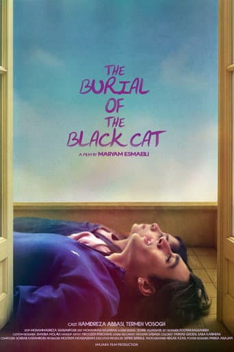 The Burial of the Black Cat poster