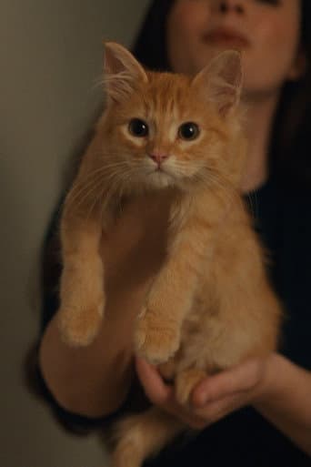 Petunia poster