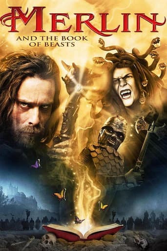 Merlin and the Book of Beasts poster