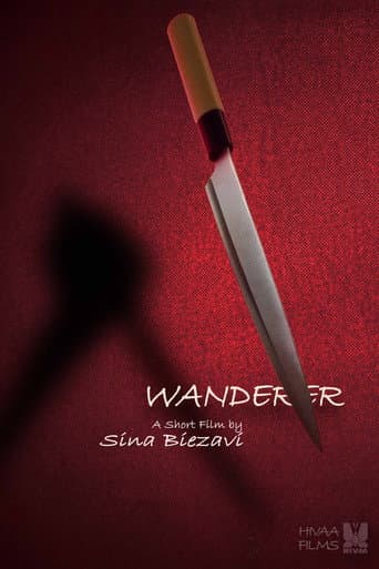 Wanderer poster