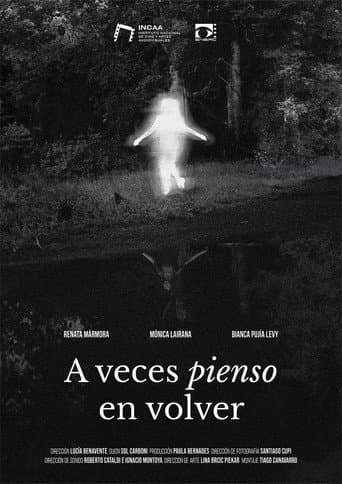 Sometimes I think about coming back poster