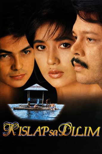 Spark in the Dark poster