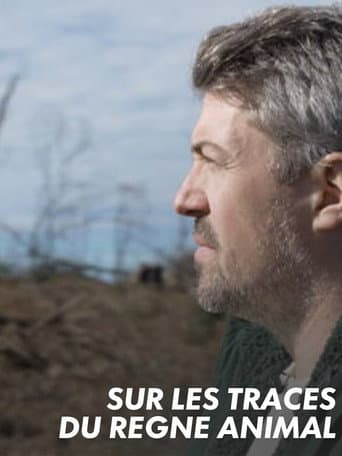 Sur les traces du règne animal poster