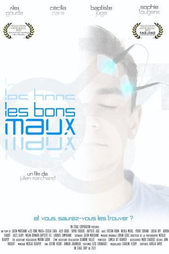 Les bons maux poster