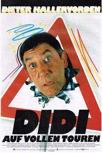 Didi Drives Me Crazy poster