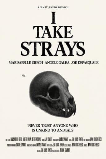 I TAKE STRAYS poster