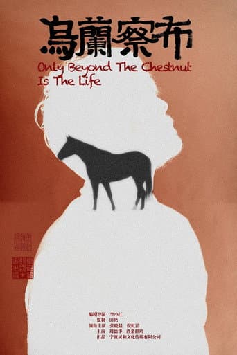乌兰察布 poster