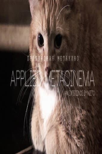 Metacinema appliqué poster