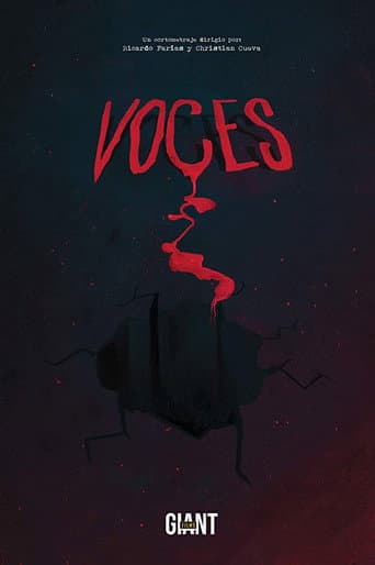 Voices poster