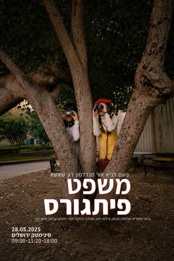משפט פיתוגרס poster