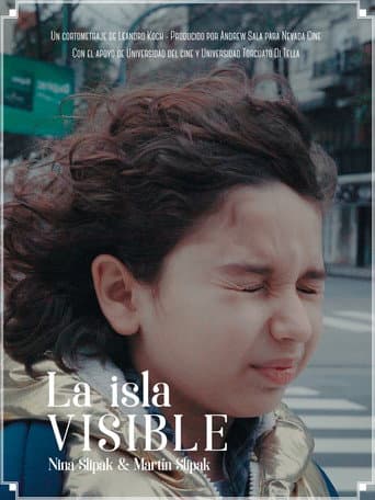 Visible Island poster
