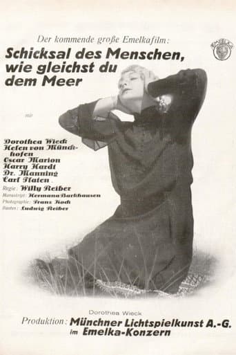 Sturmflut poster