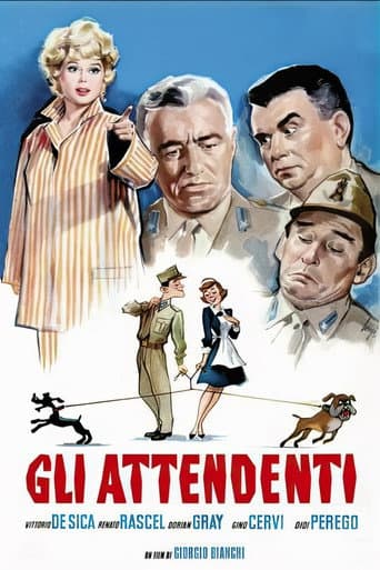 The Orderly poster