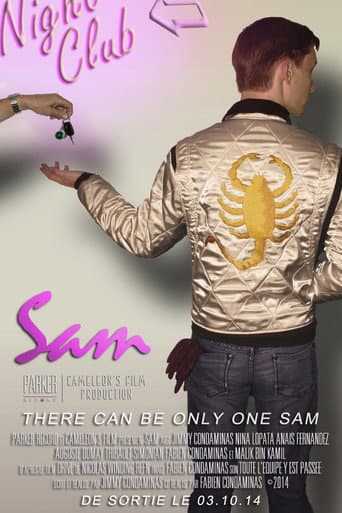 Sam : Drive Parody poster