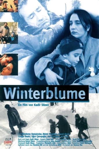 Winter Flowers poster