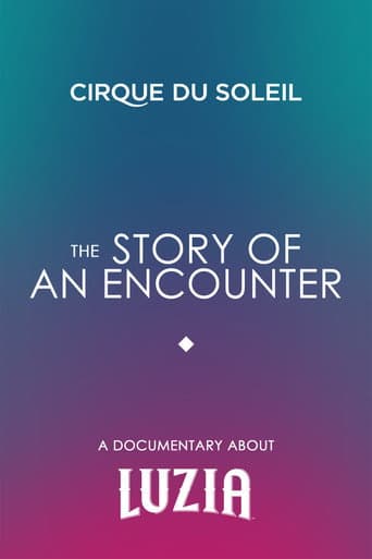 The Story Of An Encounter poster
