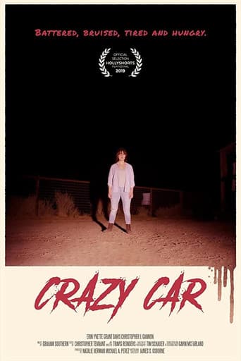 Crazy Car poster