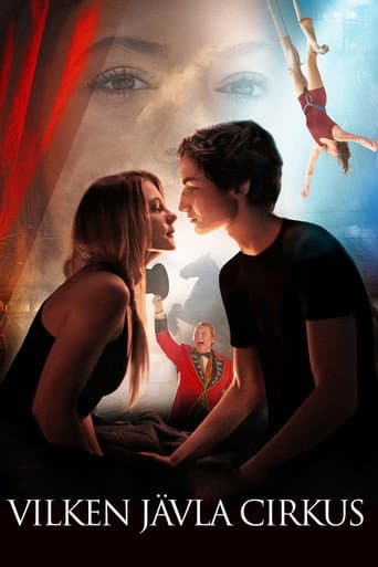 Mending Hugo's Heart poster