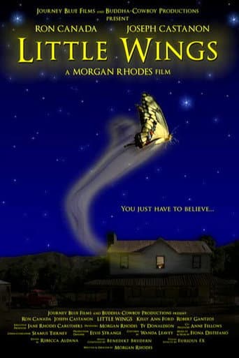 Little Wings poster