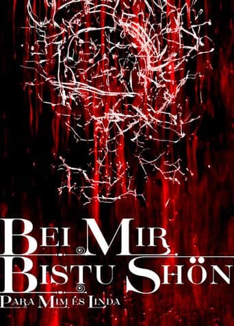 BEI MIR BISTU SHON: PARA MIM ES LINDA poster