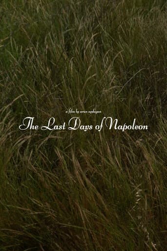 The Last Days of Napoléon poster