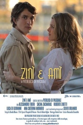 Zinì e Amì poster