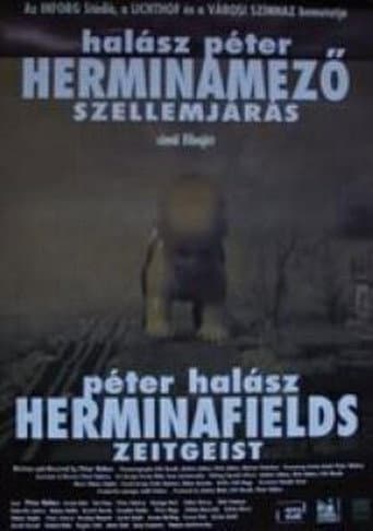 Herminafields - Zeitgeist poster