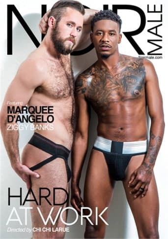 Hard At Work poster