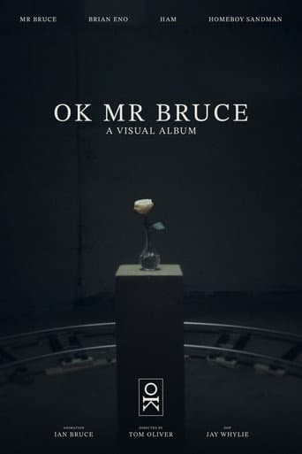 OK MR BRUCE poster