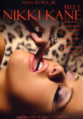 Meet Nikki Kane poster