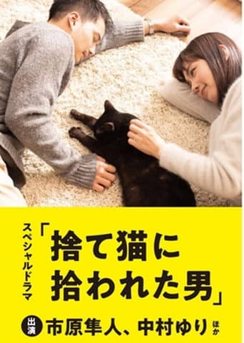 The Man Who Got Picked Up by a Stray Cat poster