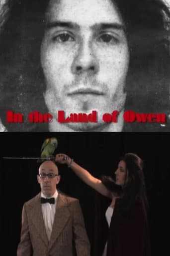 In the Land of Owen poster