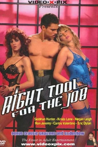 Right Tool for the Job poster