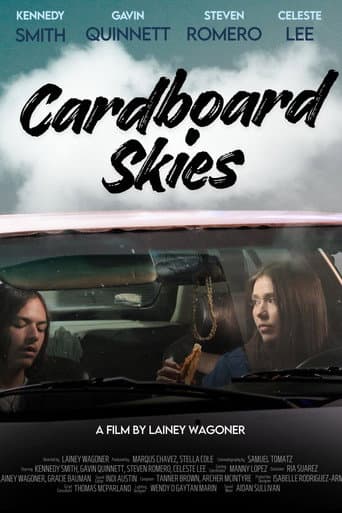 Cardboard Skies poster