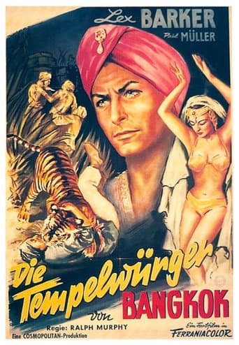 Mystery of the Black Jungle poster