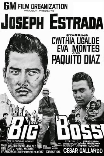 Big Boss poster