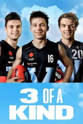 3 of a Kind poster