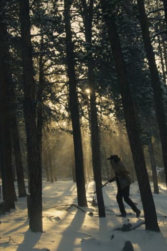 No Sun on Salvation poster