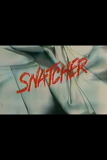 Snatcher poster