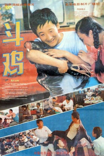斗鸡 poster