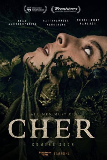 Cher poster