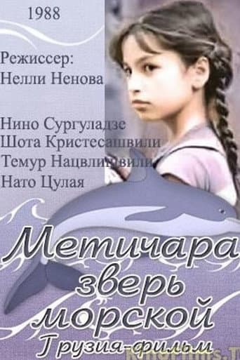 Metichara poster