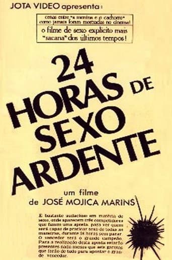 24 Hours of Explicit Sex poster