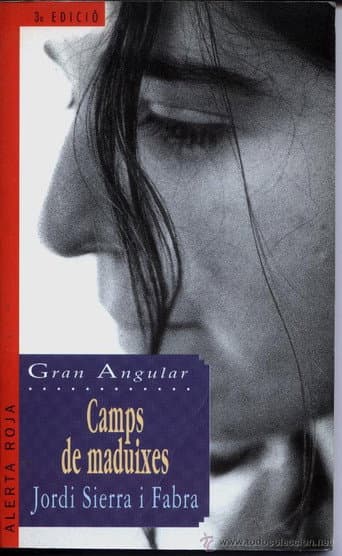 Camps de maduixes poster