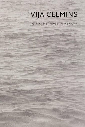 Vija Celmins: To Fix the Image in Memory poster