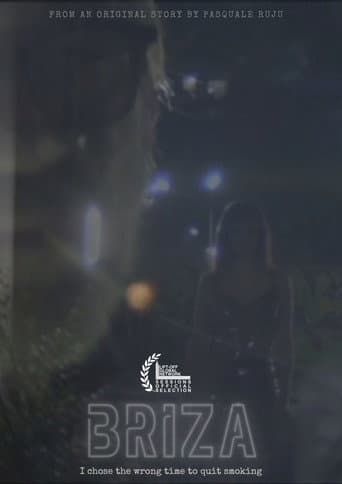 Briza poster