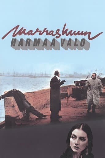 Marraskuun harmaa valo poster
